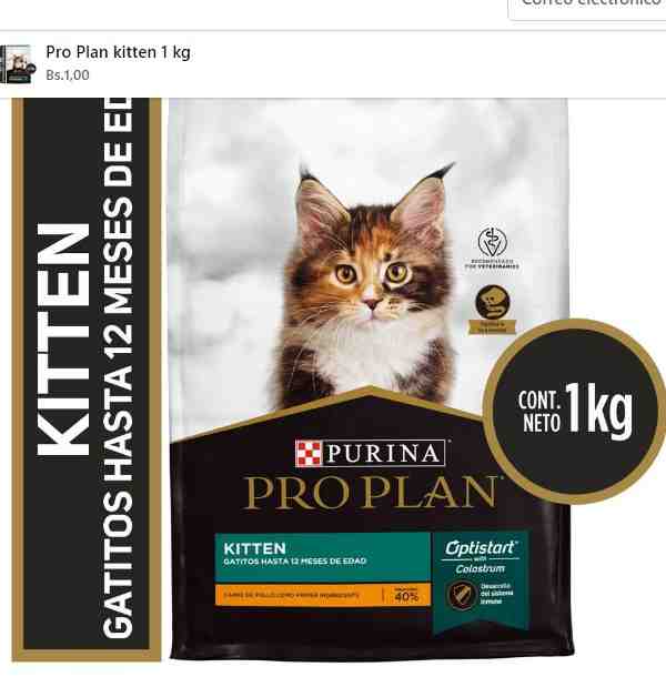 PRO PLAN  GATO KITTEN X 1 KG 